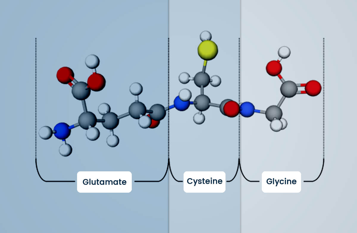 What is Glutathione